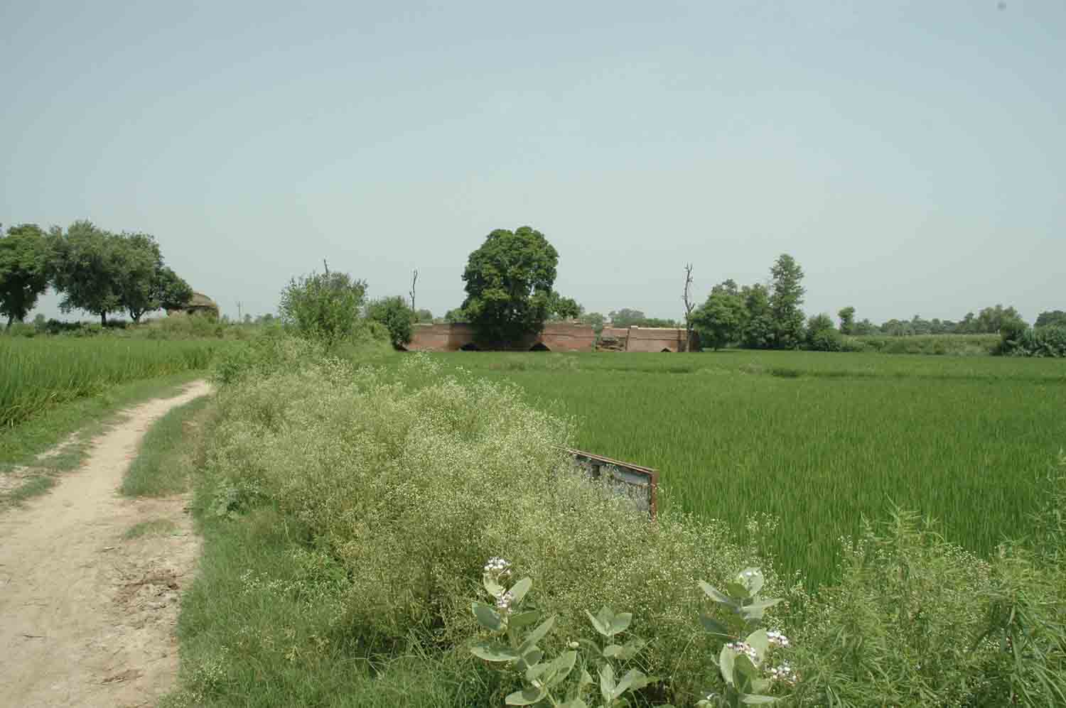 Sarai Dakhani, Mahlian Kalan, Punjab