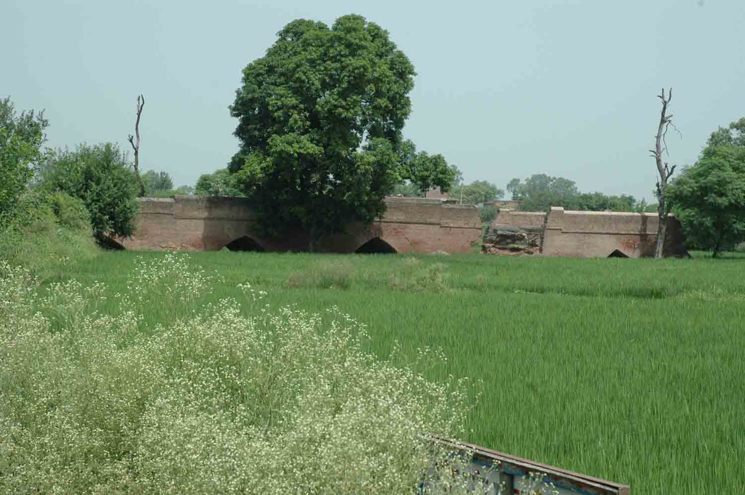 Sarai Dakhani, Mahlian Kalan, Punjab