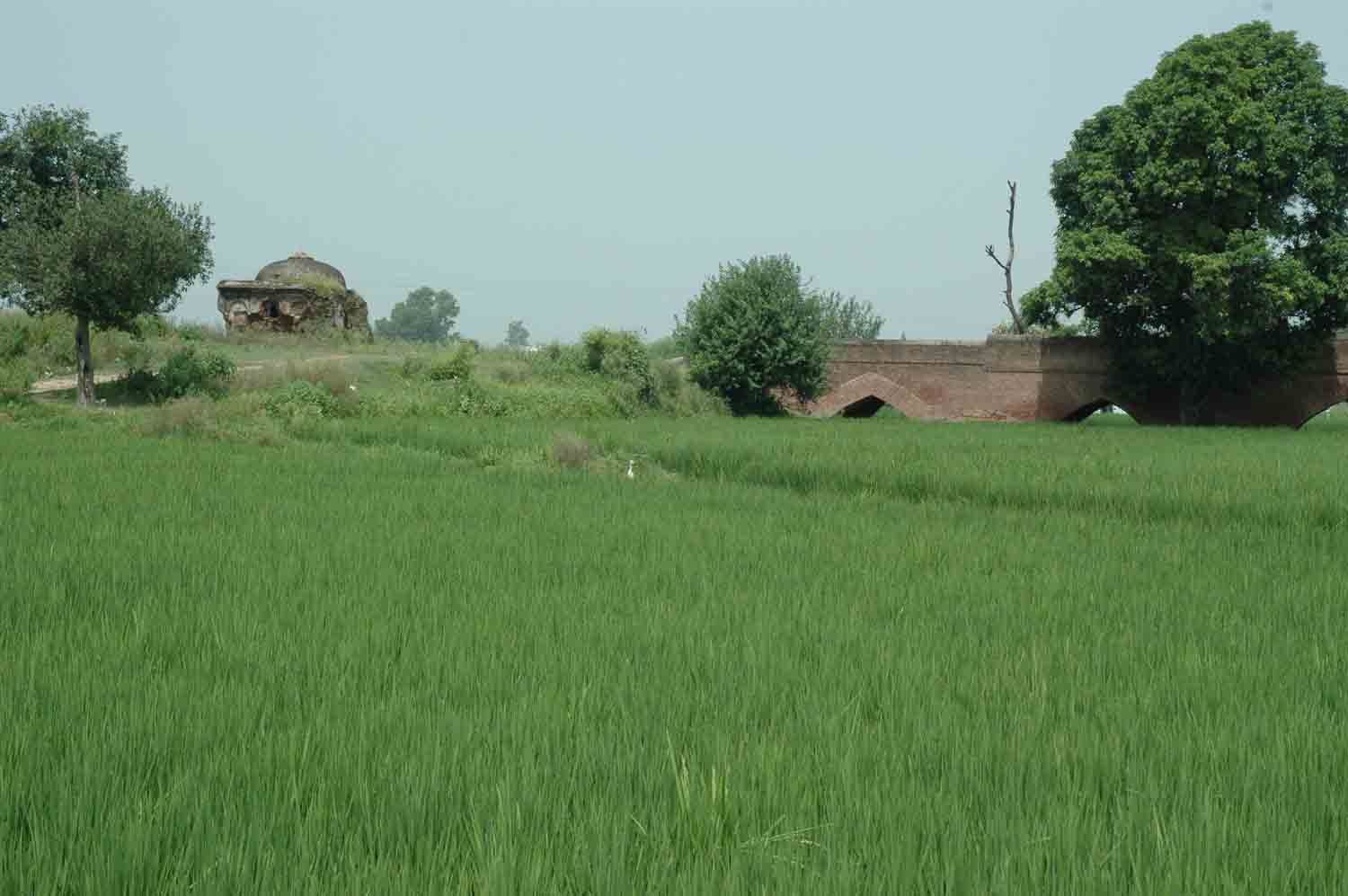 Sarai Dakhani, Mahlian Kalan, Punjab