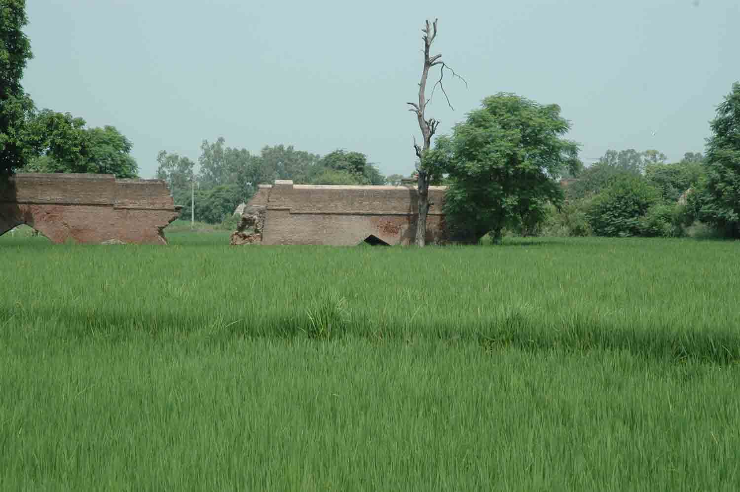 Sarai Dakhani, Mahlian Kalan, Punjab