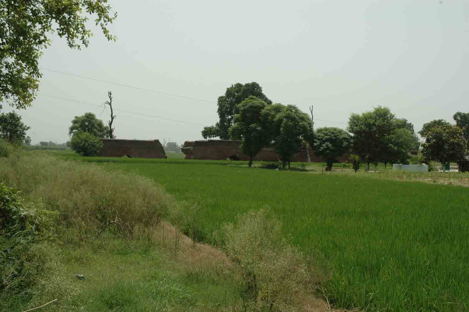 Sarai Dakhani, Mahlian Kalan, Punjab
