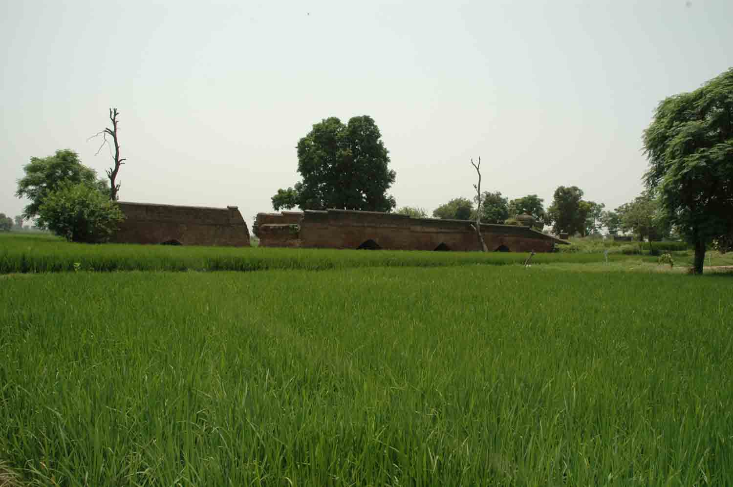 Sarai Dakhani, Mahlian Kalan, Punjab