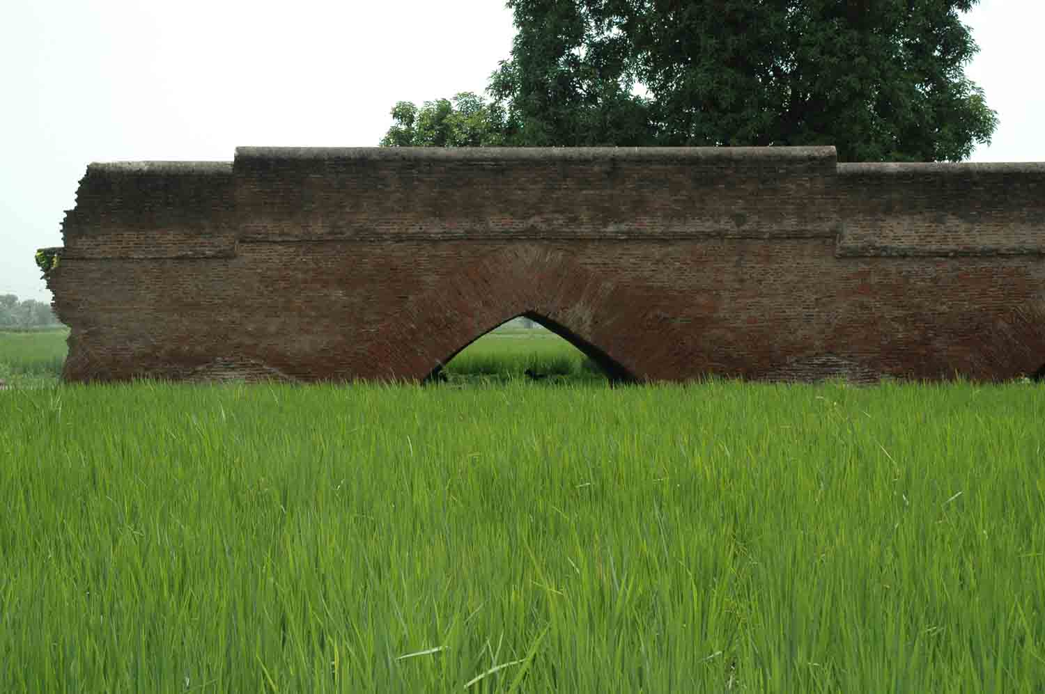 Sarai Dakhani, Mahlian Kalan, Punjab
