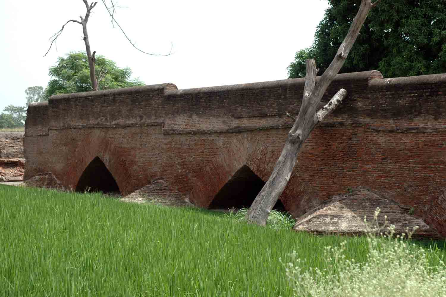 Sarai Dakhani, Mahlian Kalan, Punjab