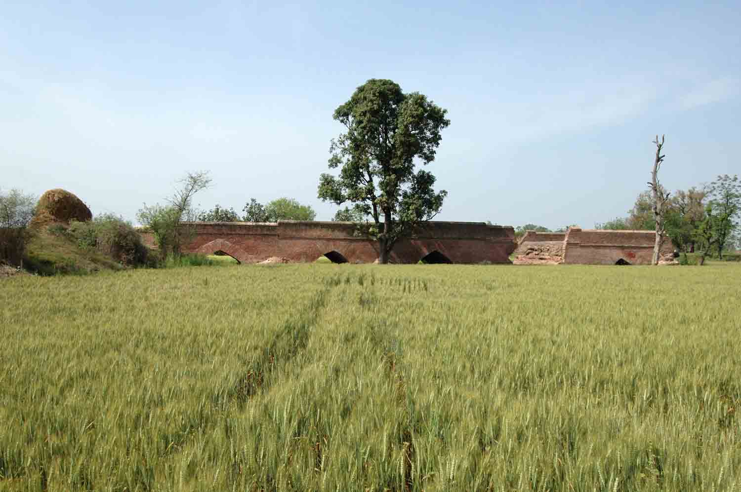 Sarai Dakhani, Mahlian Kalan, Punjab