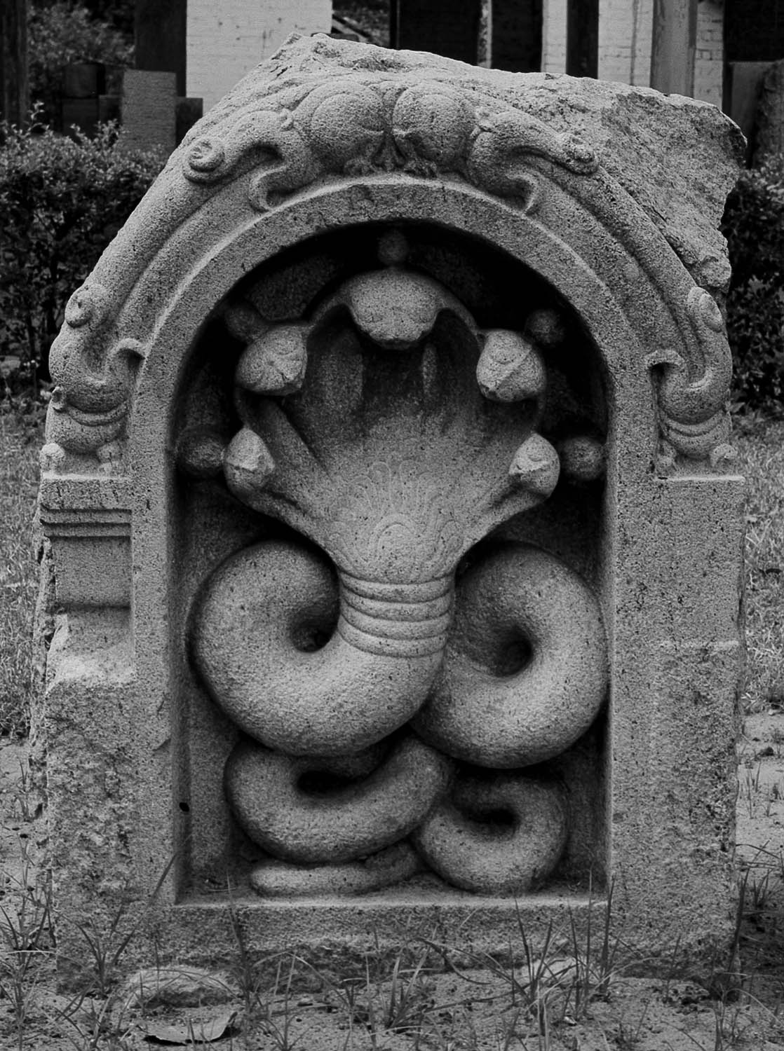 Anuradhapura Museum, Sri Lanka