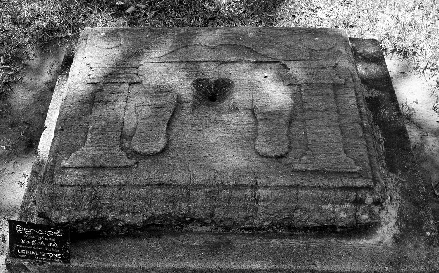 Anuradhapura Museum, Sri Lanka