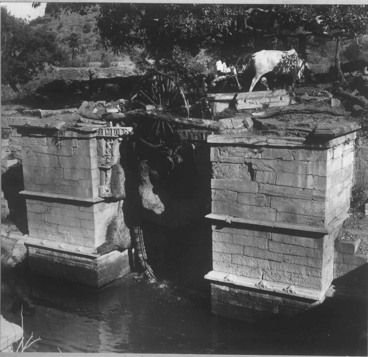 Lahini Vapi, Vasantgarh, Rajasthan
