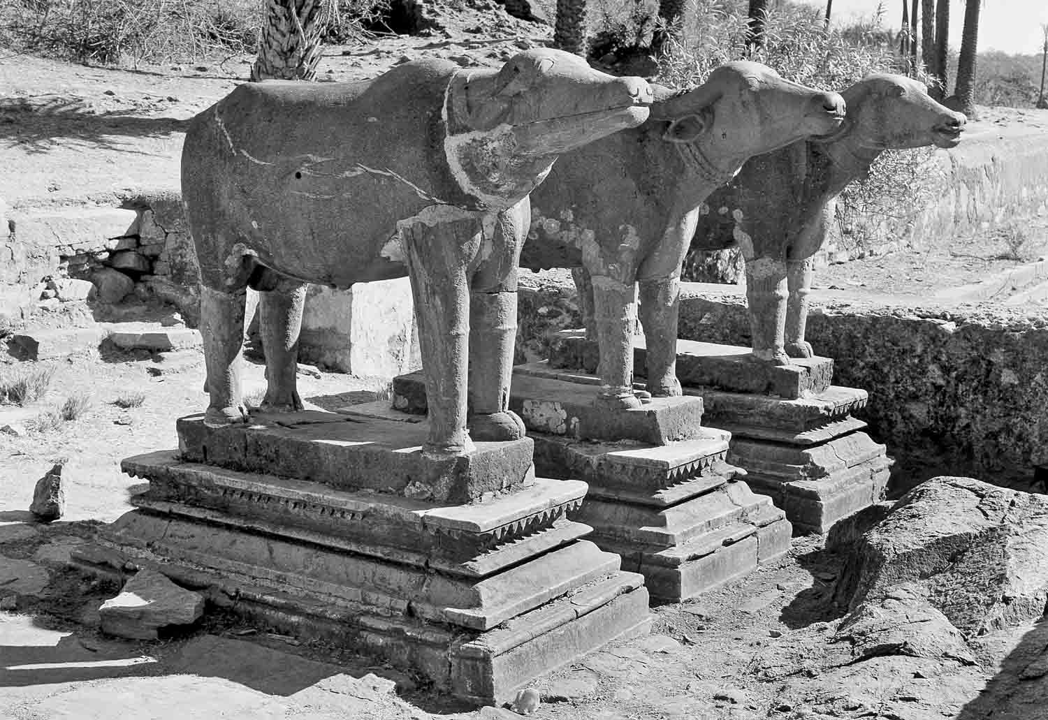 Mandakini kunda, Achalgadh, Rajasthan