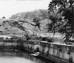 Kunda, Zawar, Rajasthan