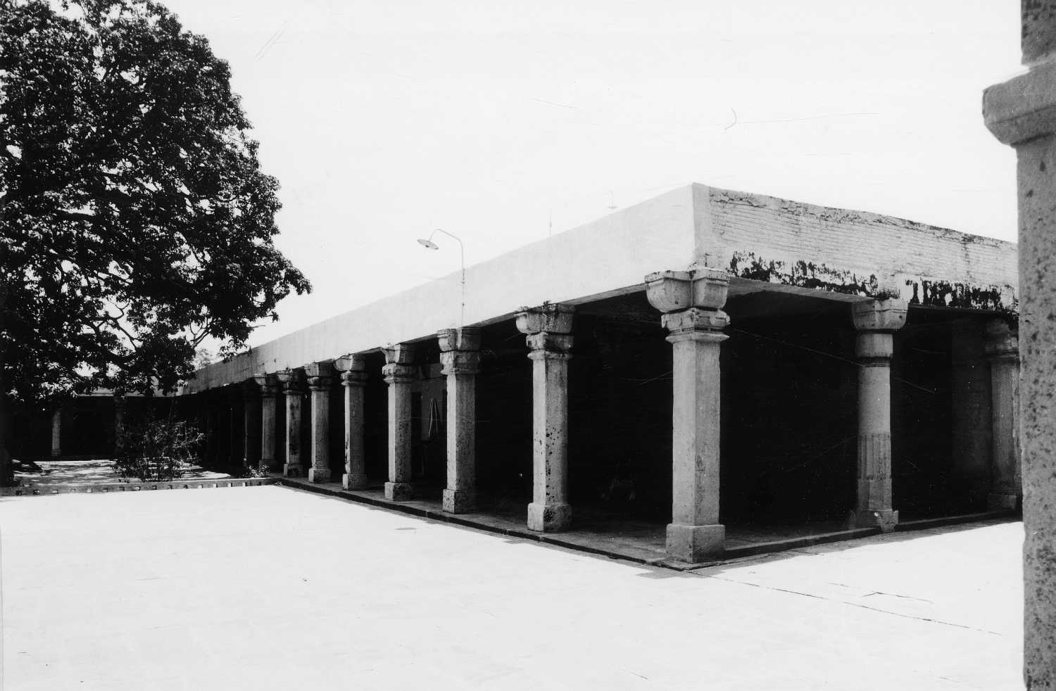 J Sites, AIIS, CA&A