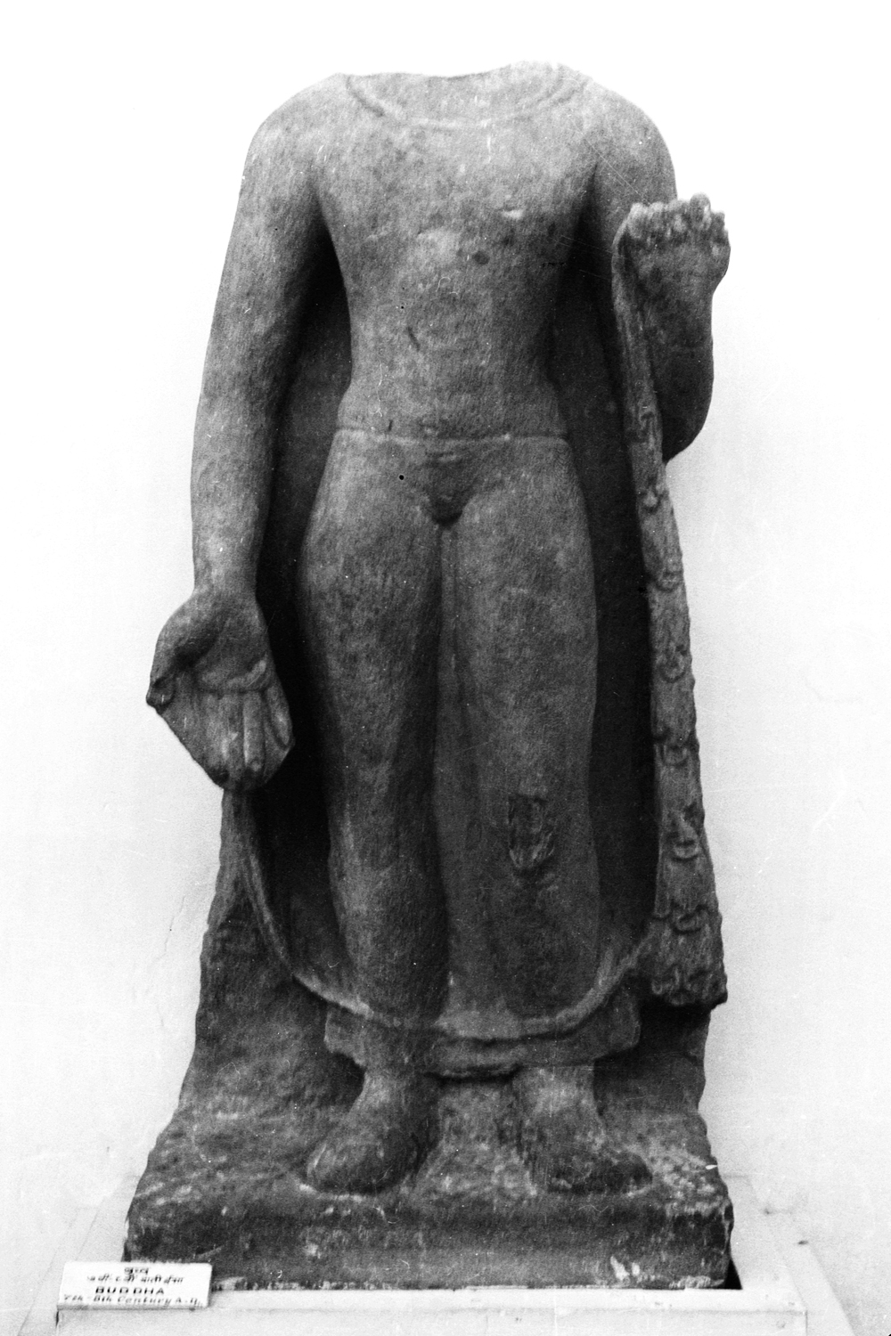 Sarnath Museum, Uttar Pradesh