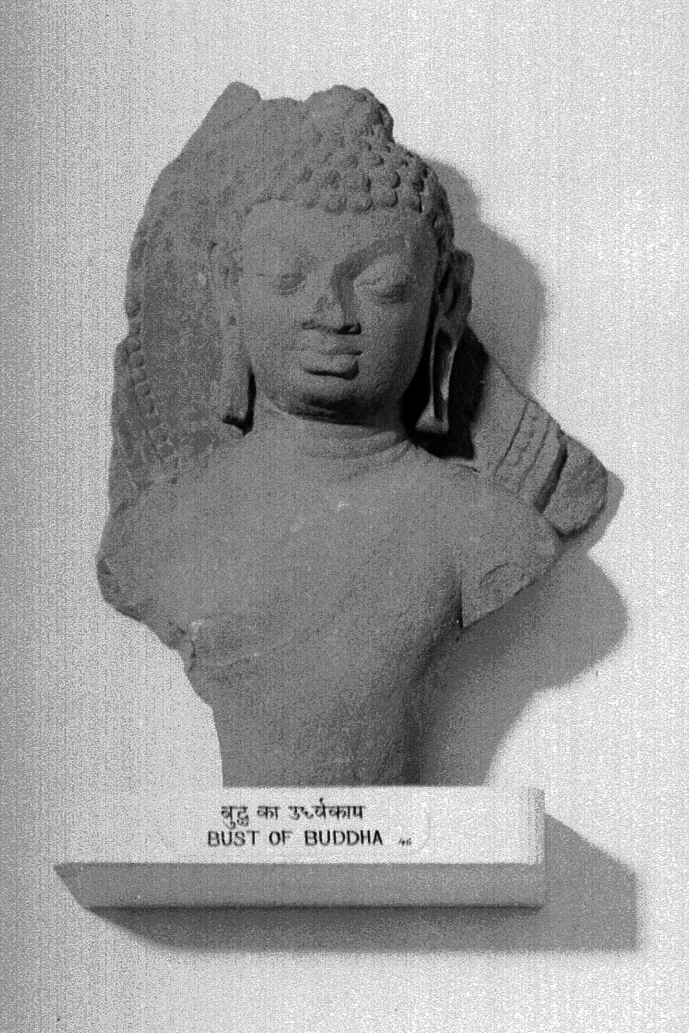 Sarnath Museum, Uttar Pradesh