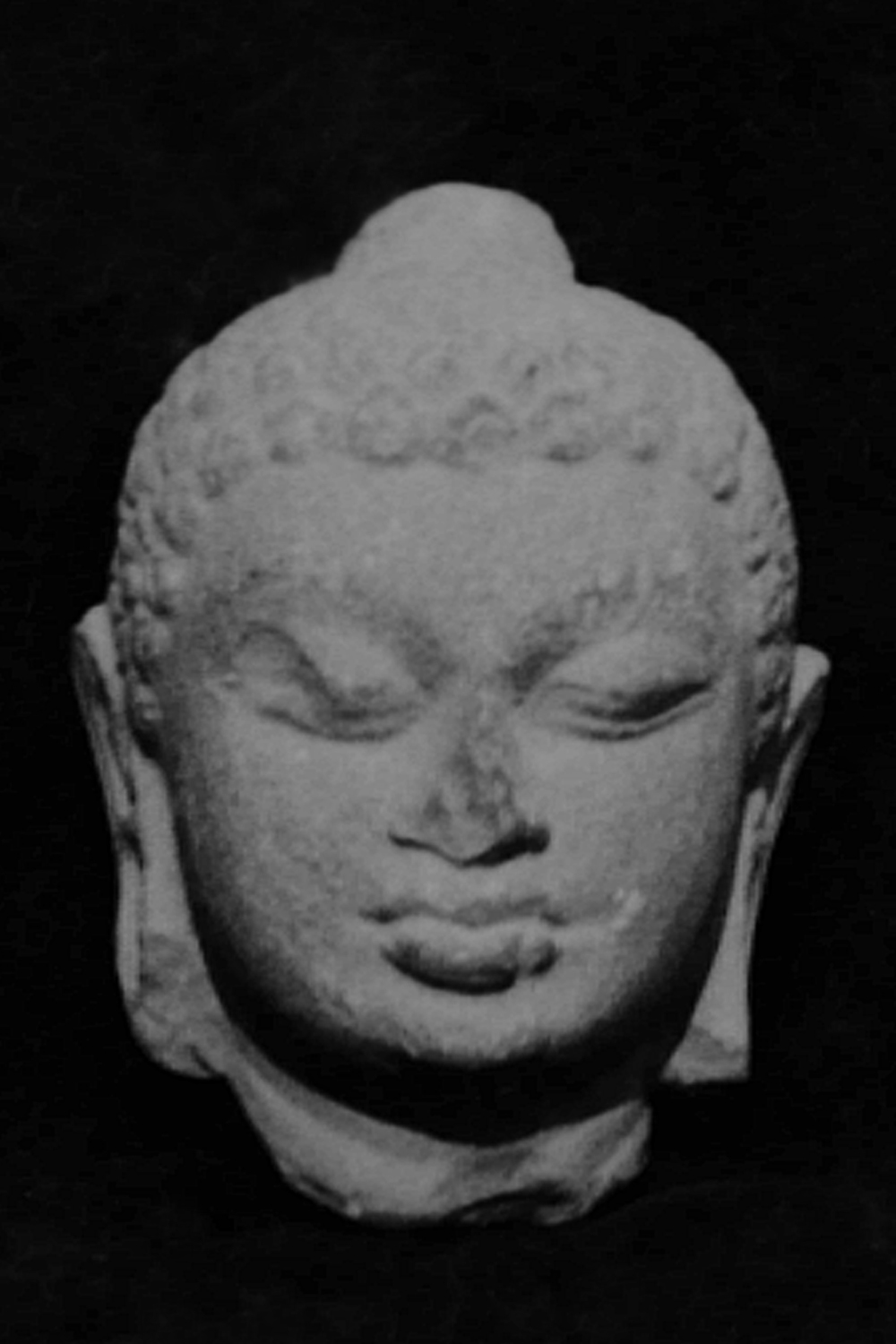 Sarnath Museum, Uttar Pradesh