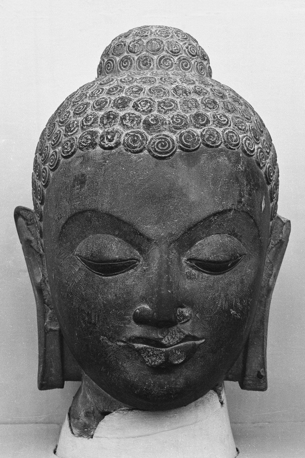 Sarnath Museum, Uttar Pradesh