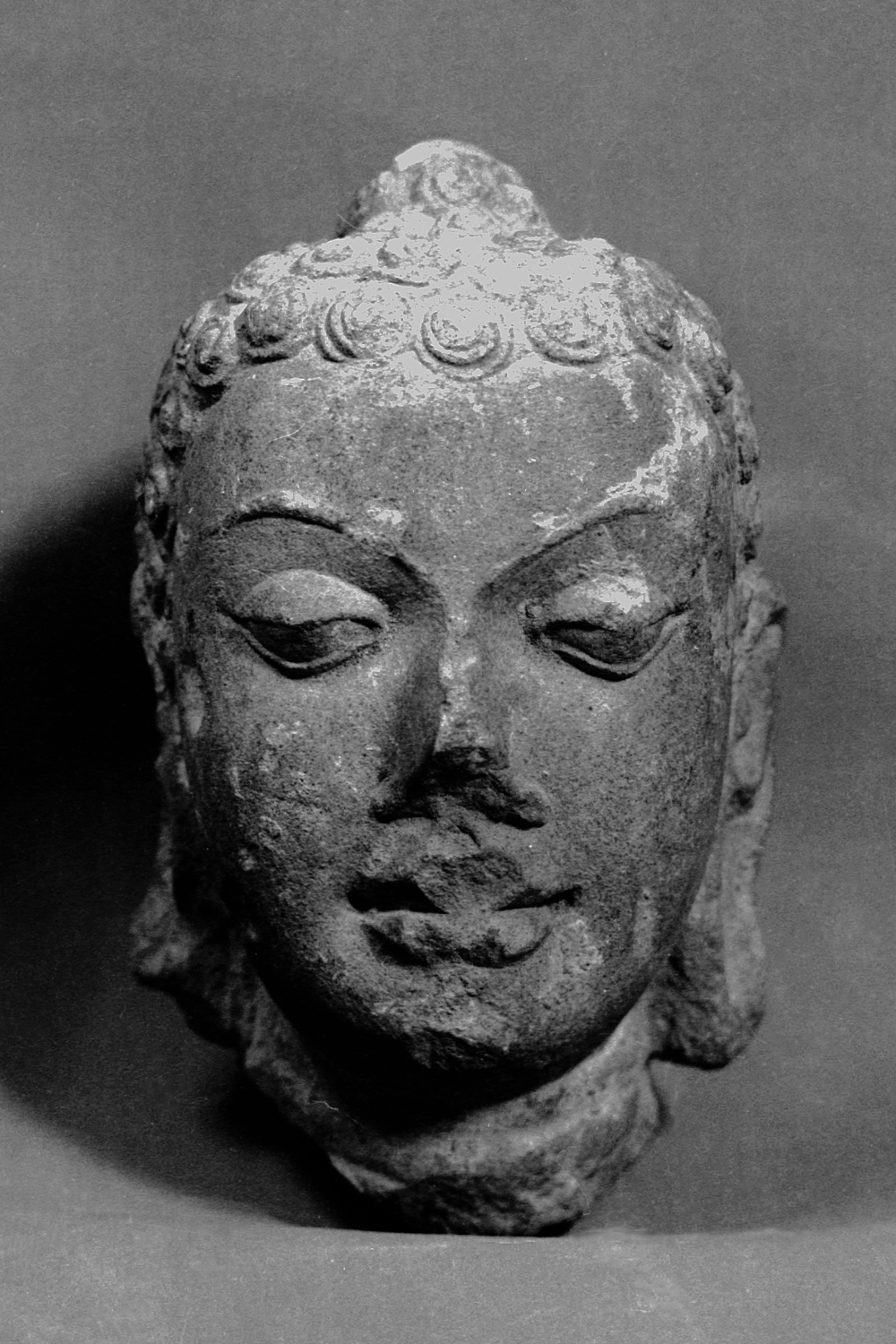 Sarnath Museum, Uttar Pradesh