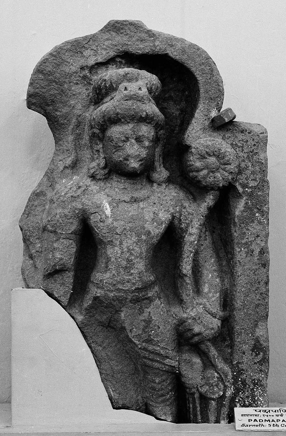 Sarnath Museum, Uttar Pradesh