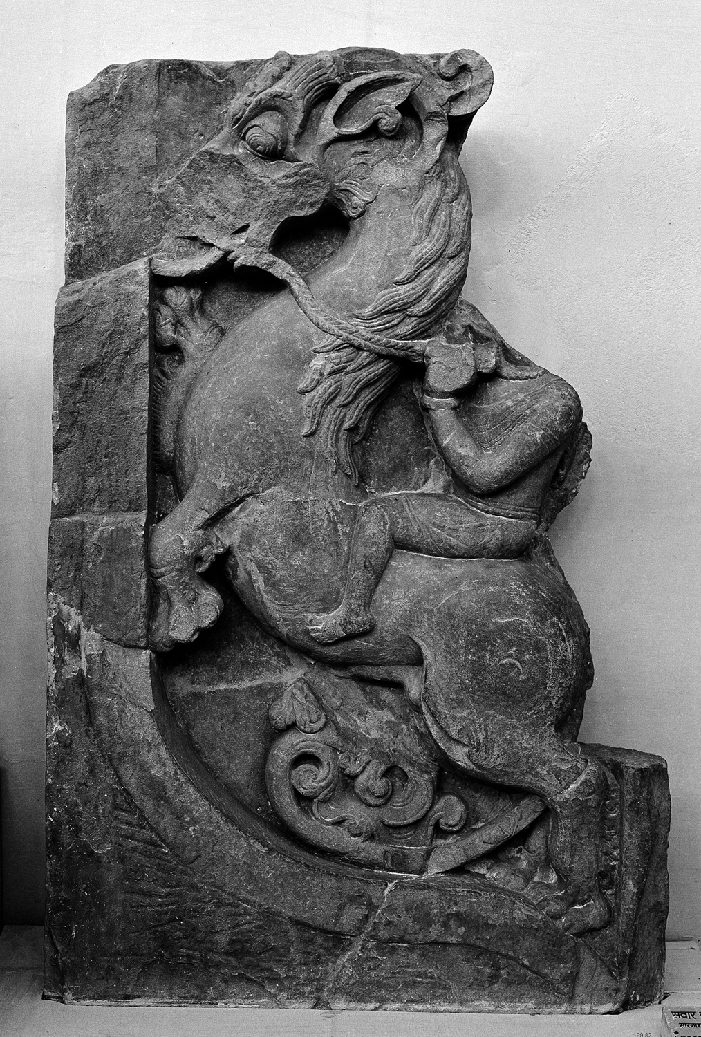 Sarnath Museum, Uttar Pradesh