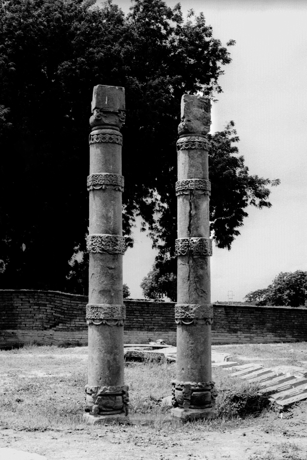 Sarnath Museum, Uttar Pradesh