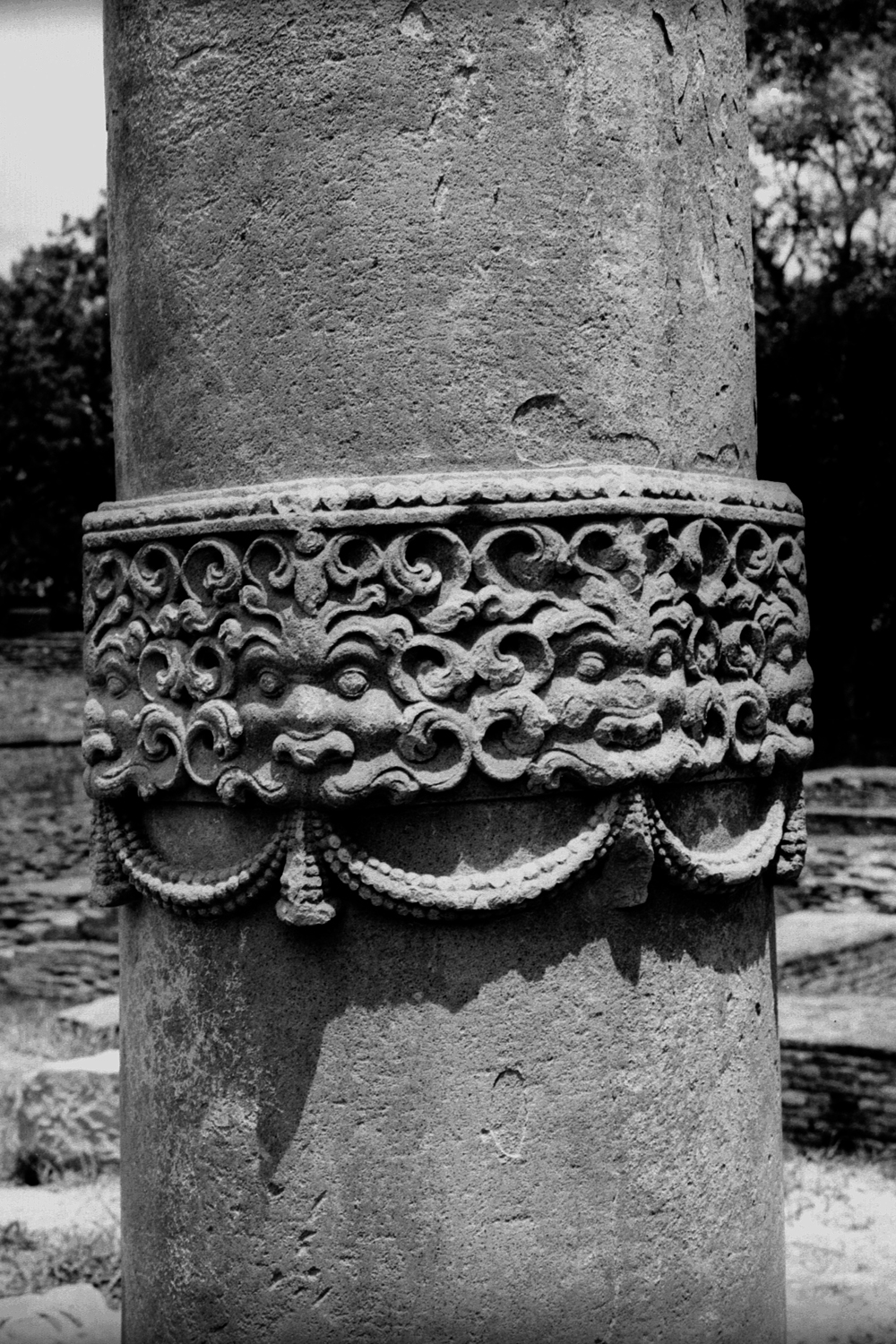 Sarnath Museum, Uttar Pradesh