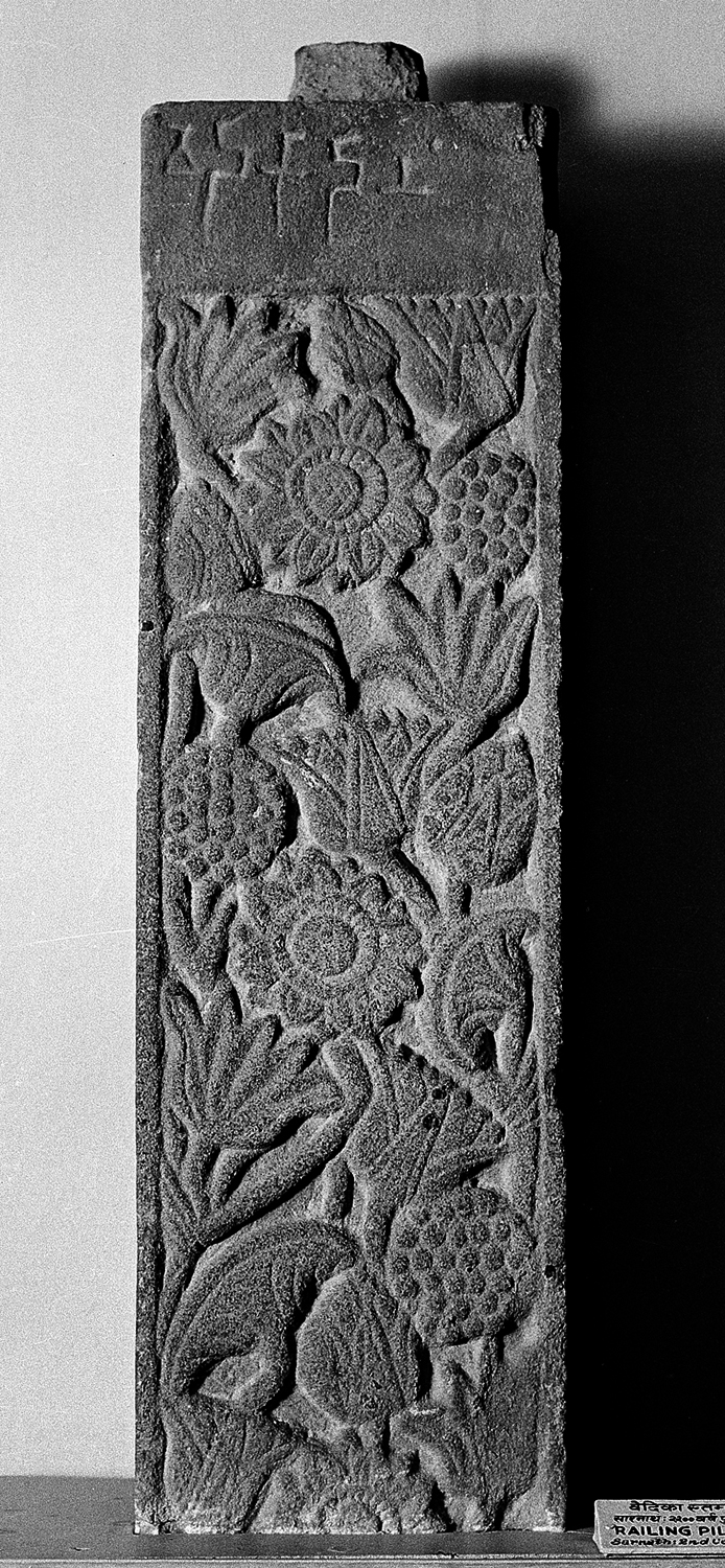 Sarnath Museum, Uttar Pradesh