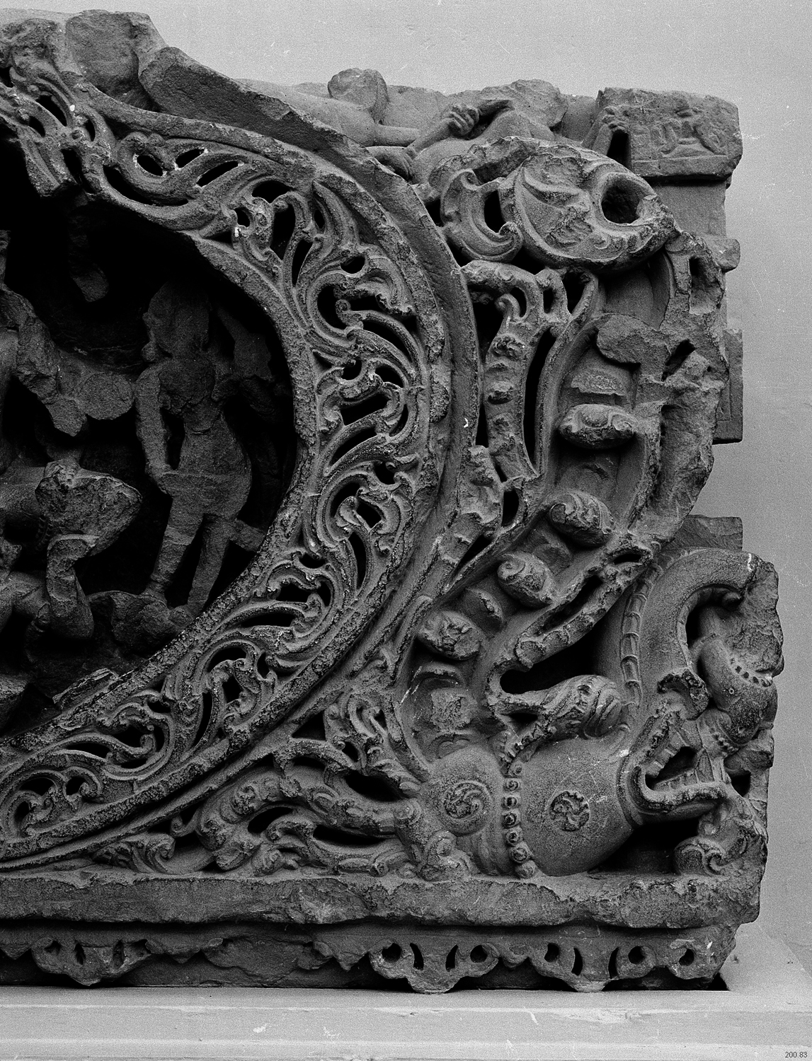 Sarnath Museum, Uttar Pradesh