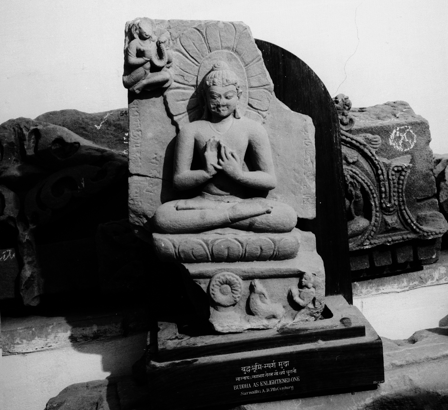 Sarnath Museum, Uttar Pradesh