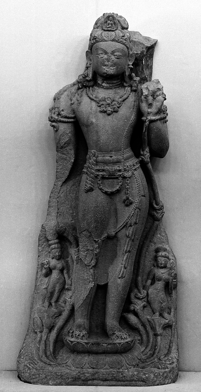 Sarnath Museum, Uttar Pradesh
