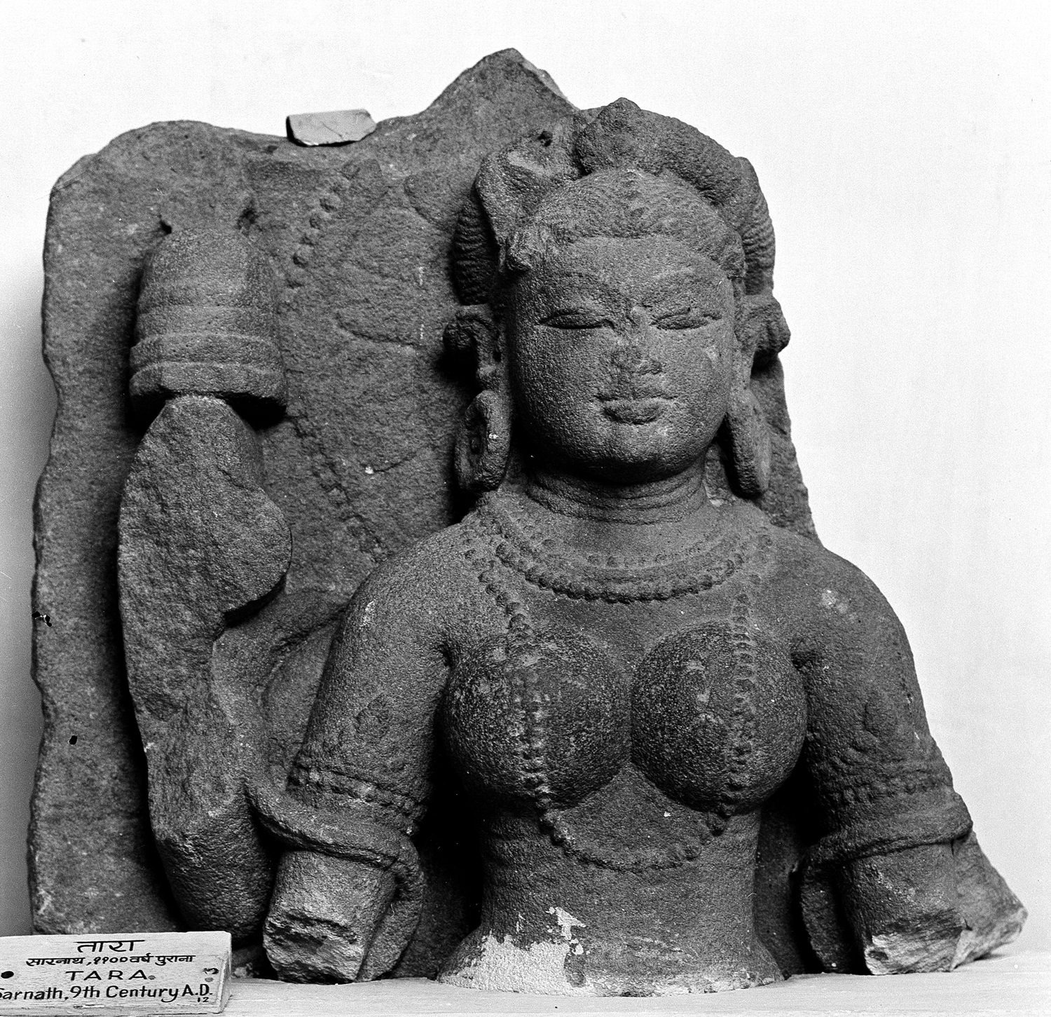 Sarnath Museum, Uttar Pradesh