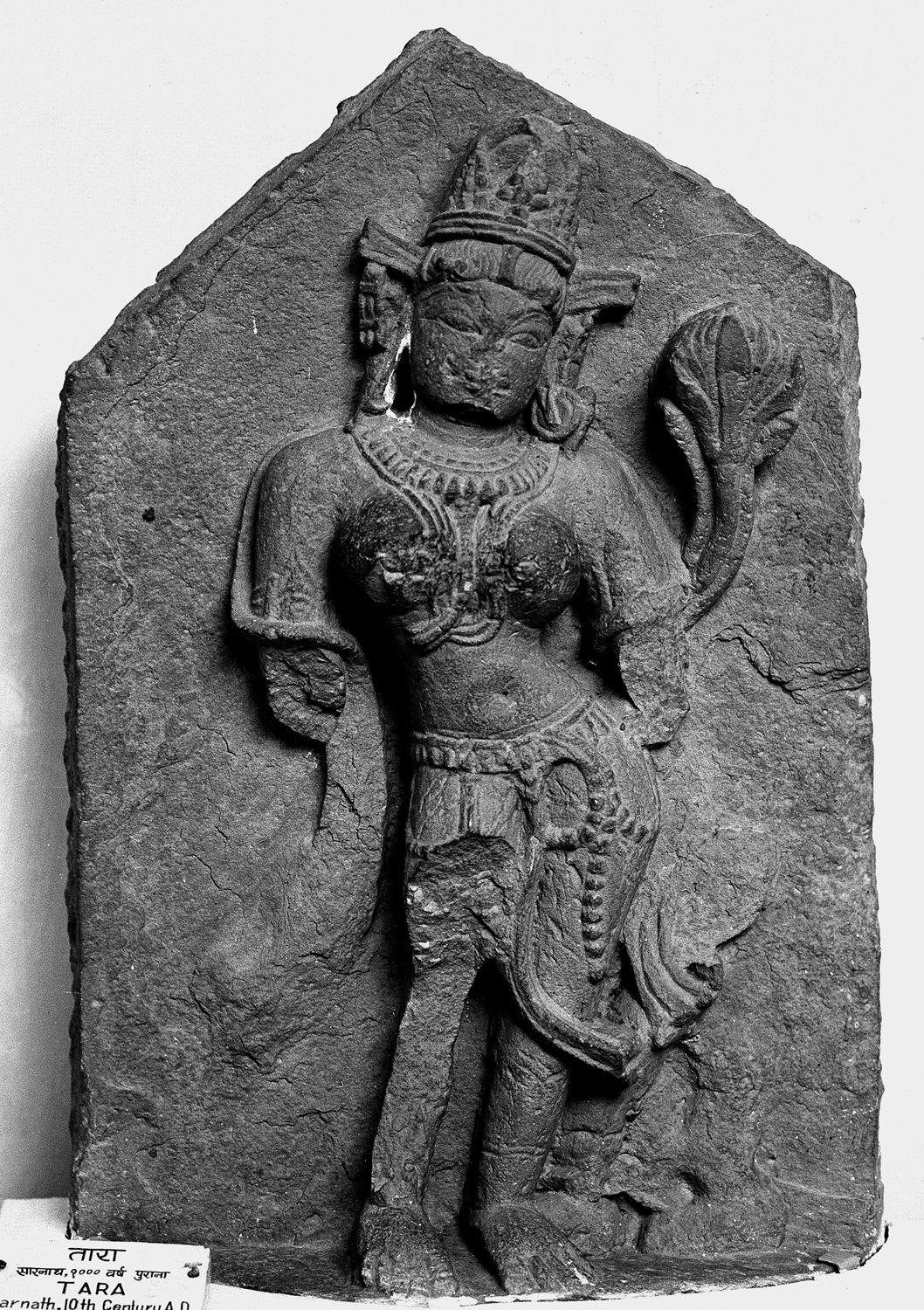 Sarnath Museum, Uttar Pradesh