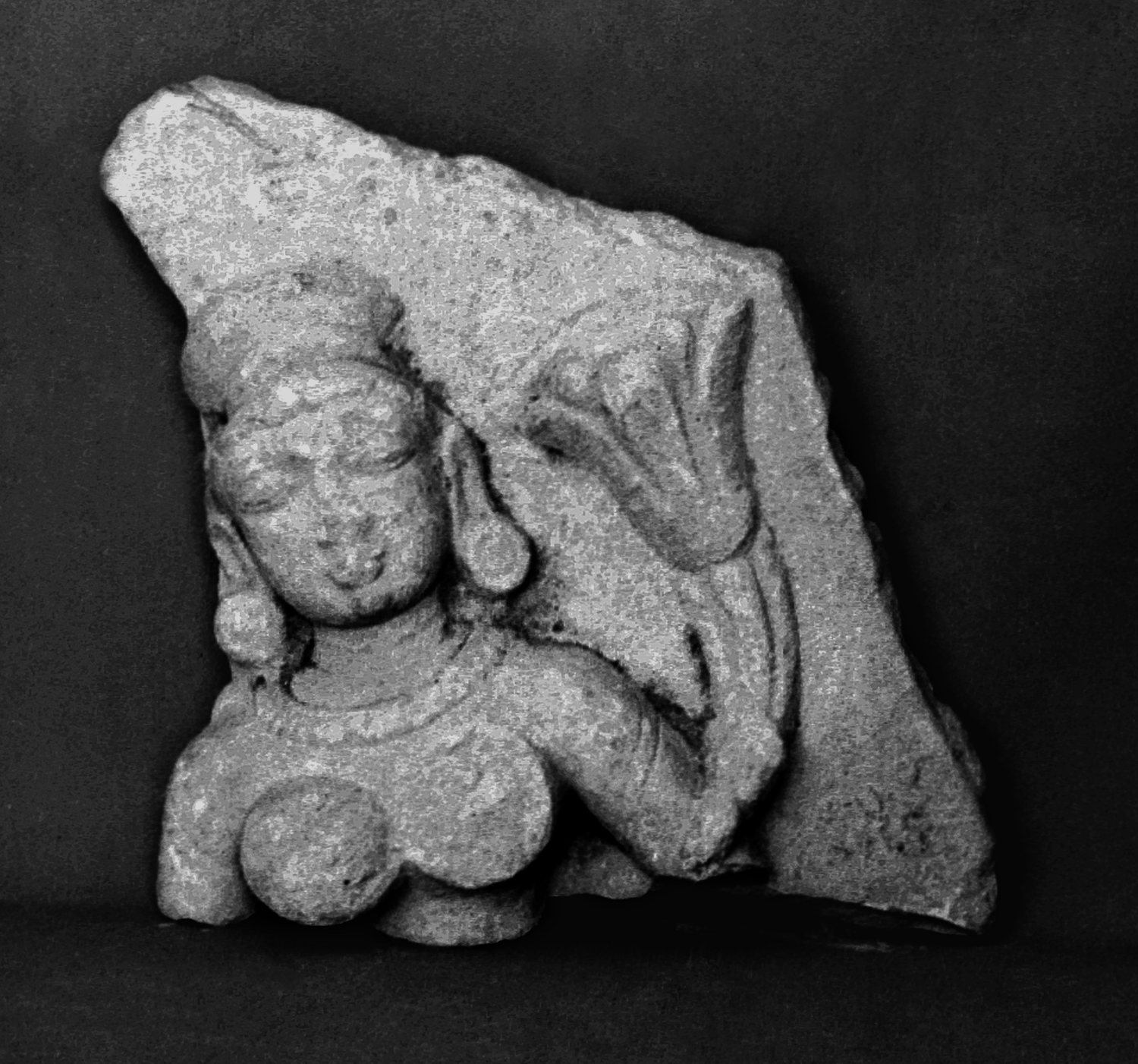 Sarnath Museum, Uttar Pradesh