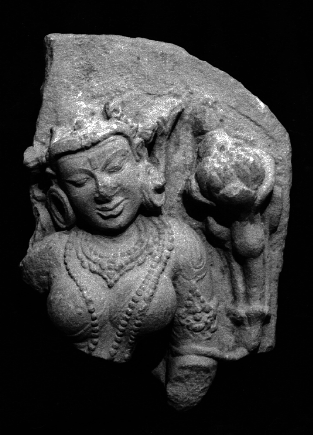 Sarnath Museum, Uttar Pradesh