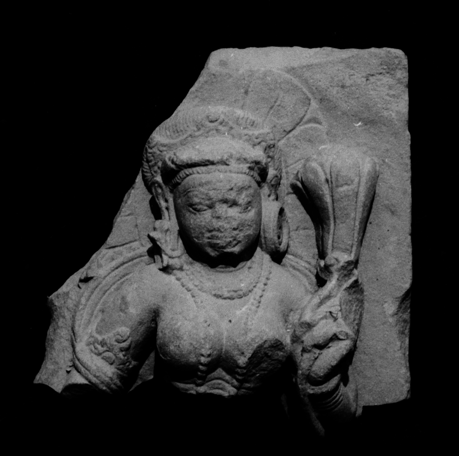 Sarnath Museum, Uttar Pradesh