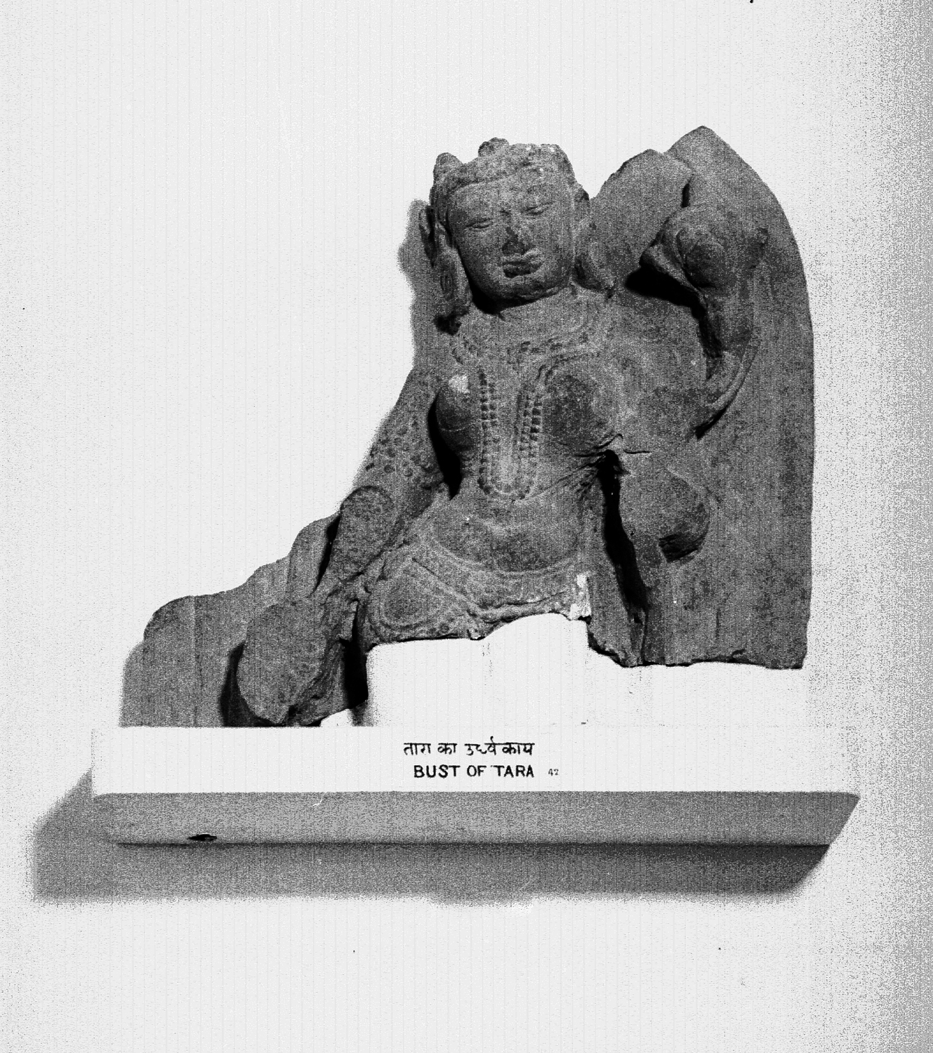 Sarnath Museum, Uttar Pradesh