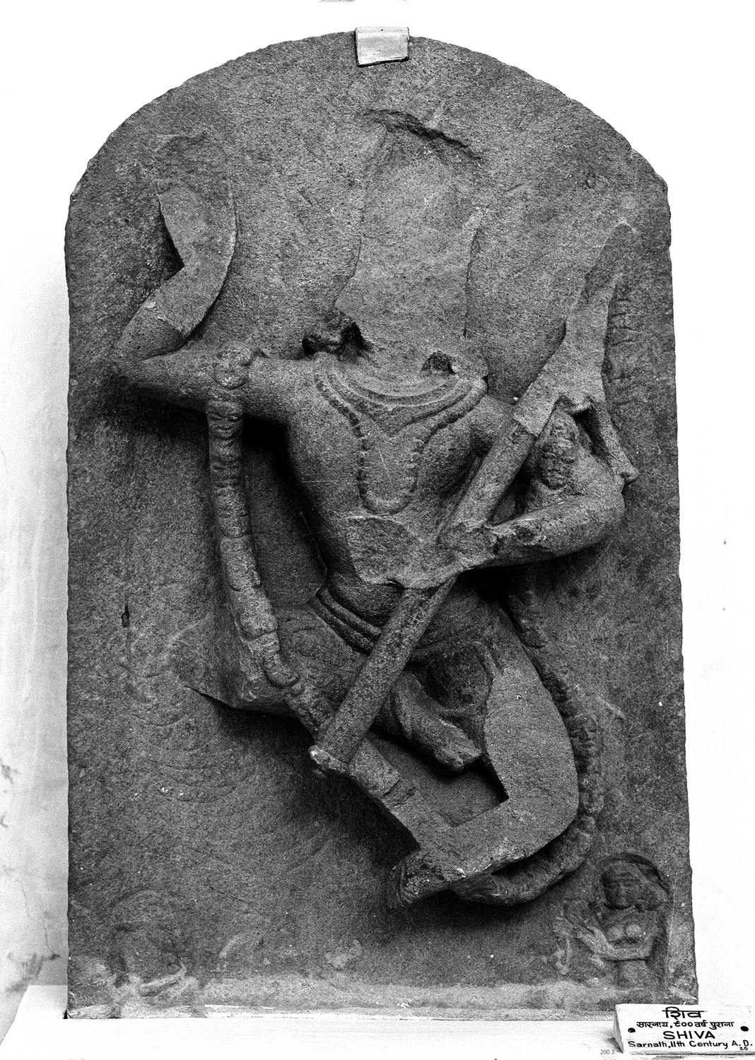 Sarnath Museum, Uttar Pradesh