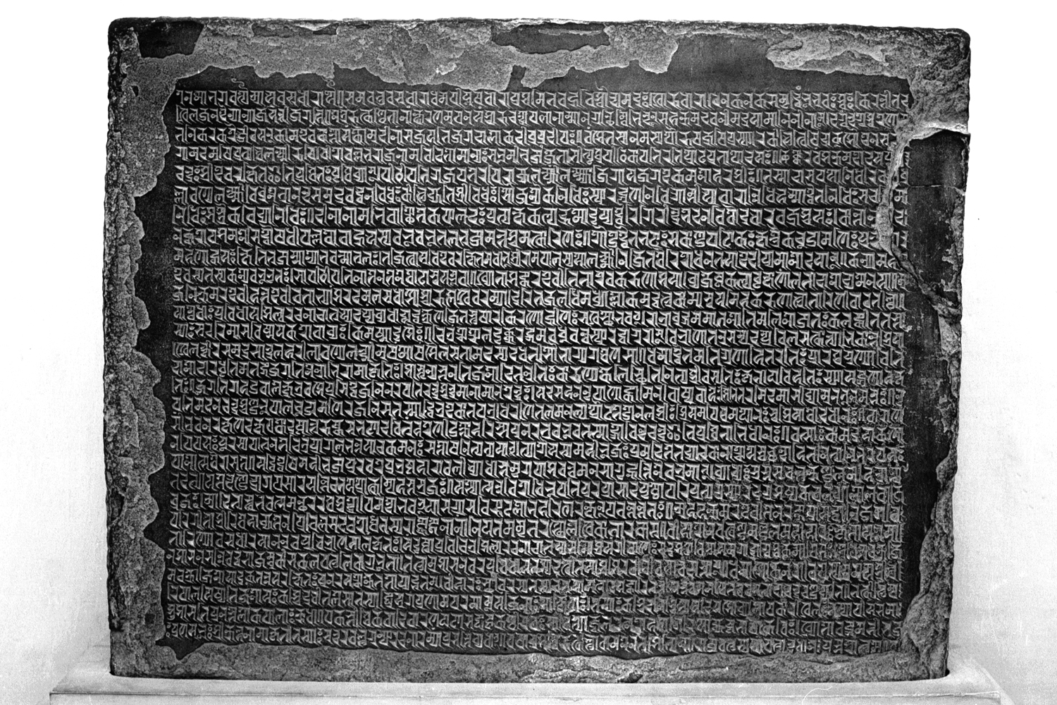 Sarnath Museum, Uttar Pradesh
