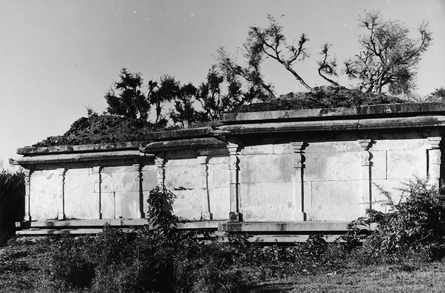 M Sites, AIIS, CA&A