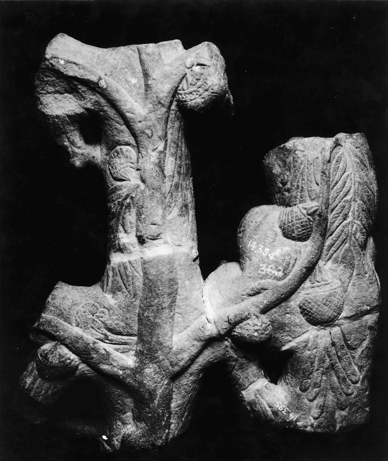 Mathura Museum, Uttar Pradesh