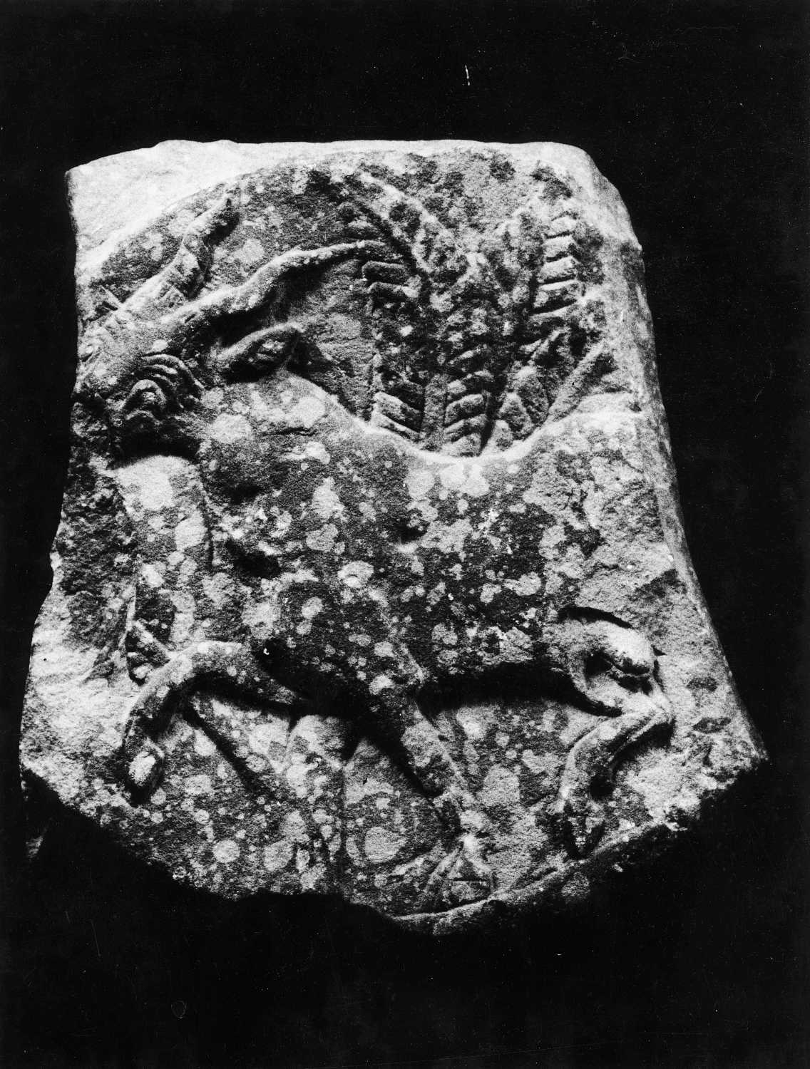 Mathura Museum, Uttar Pradesh