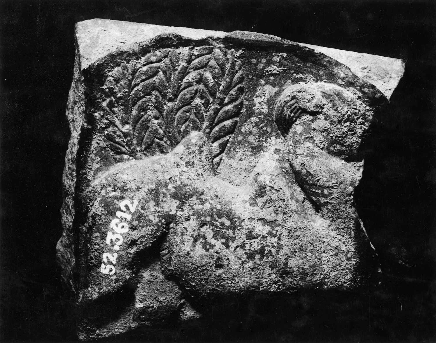 Mathura Museum, Uttar Pradesh