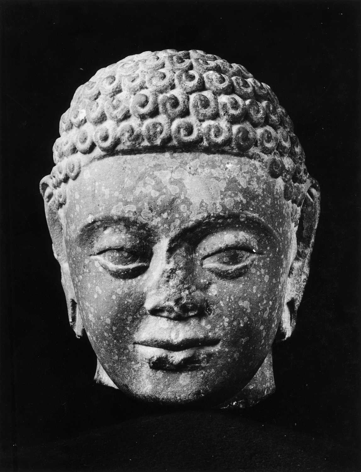 Mathura Museum, Uttar Pradesh