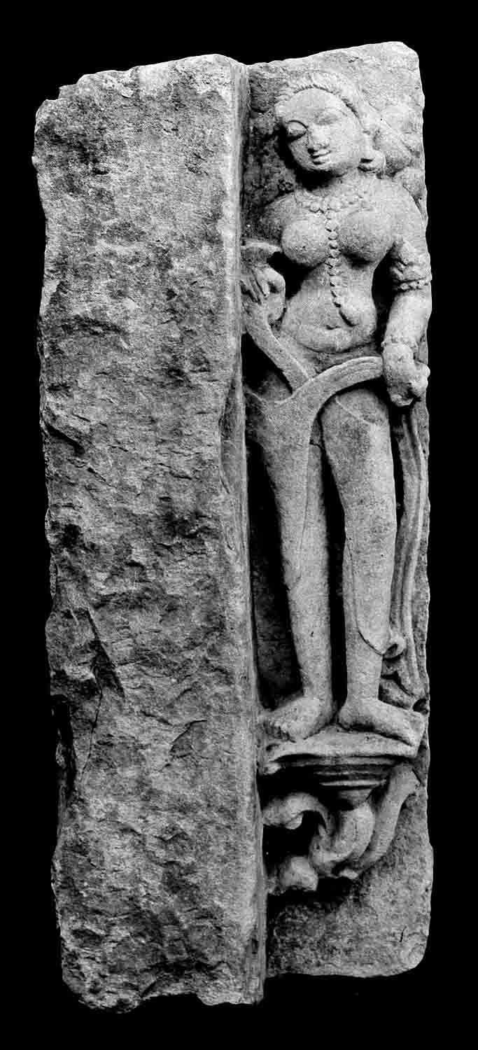 Indore, Central Museum