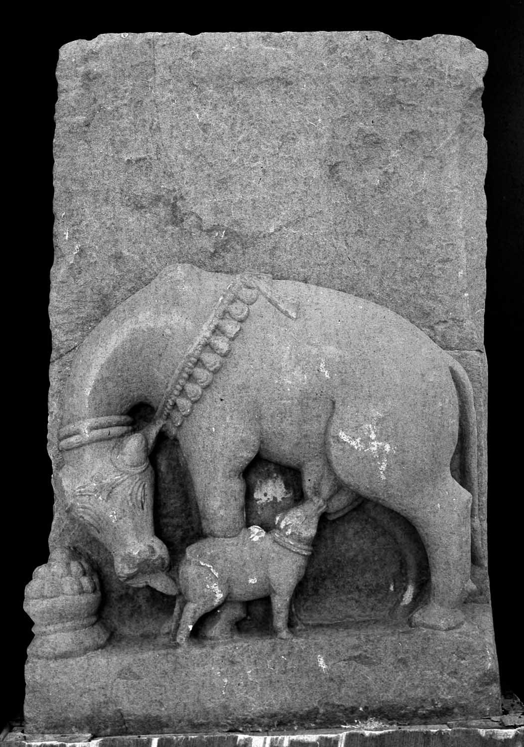 Indore, Central Museum