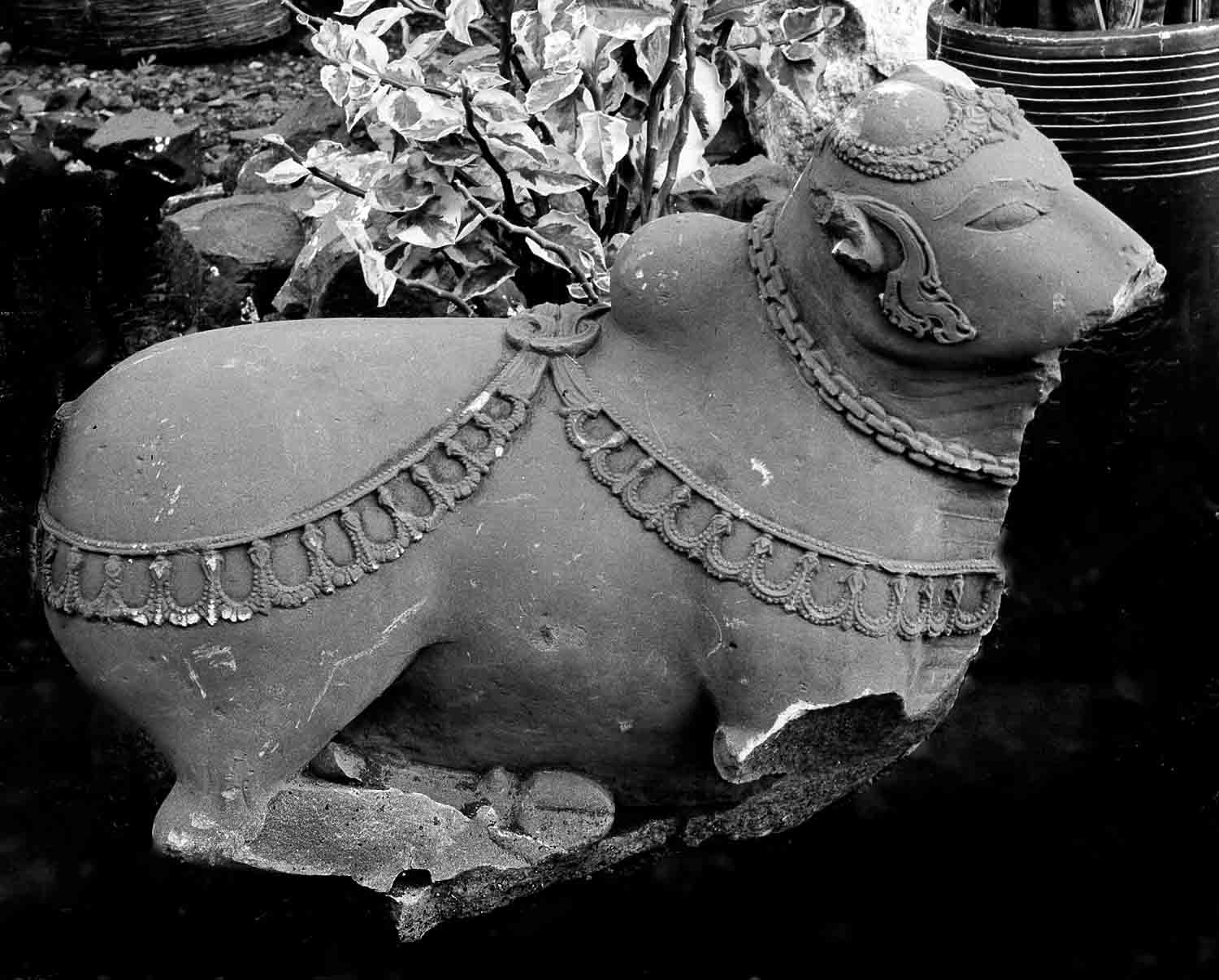 Indore, Central Museum