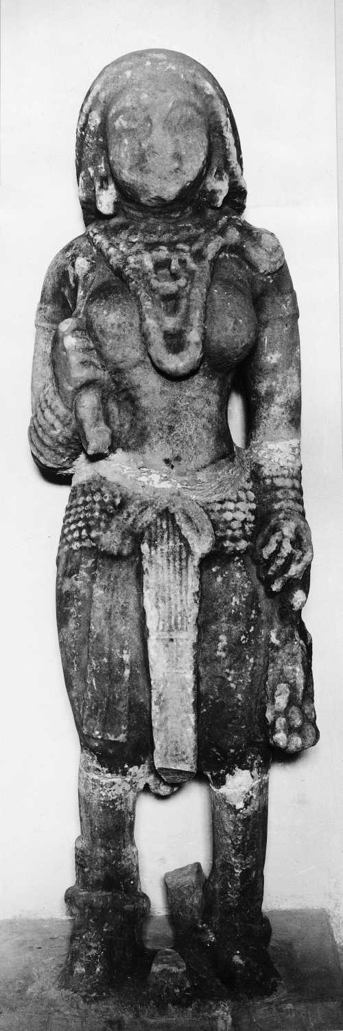 Vidisha Museum, Madhya Pradesh