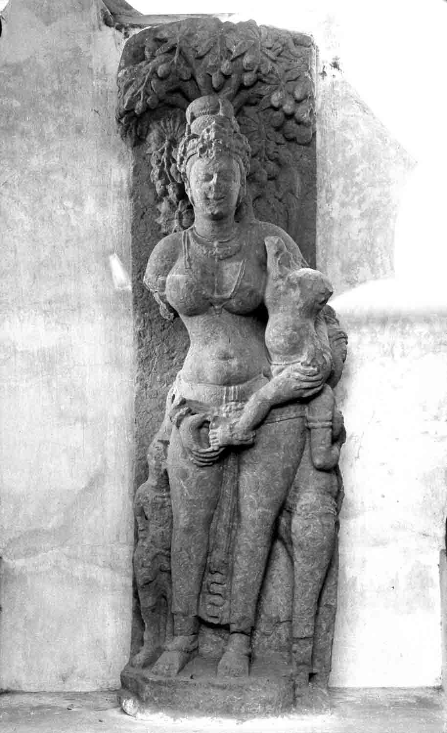 Site Museum,Sirpur, Madhya Pradesh