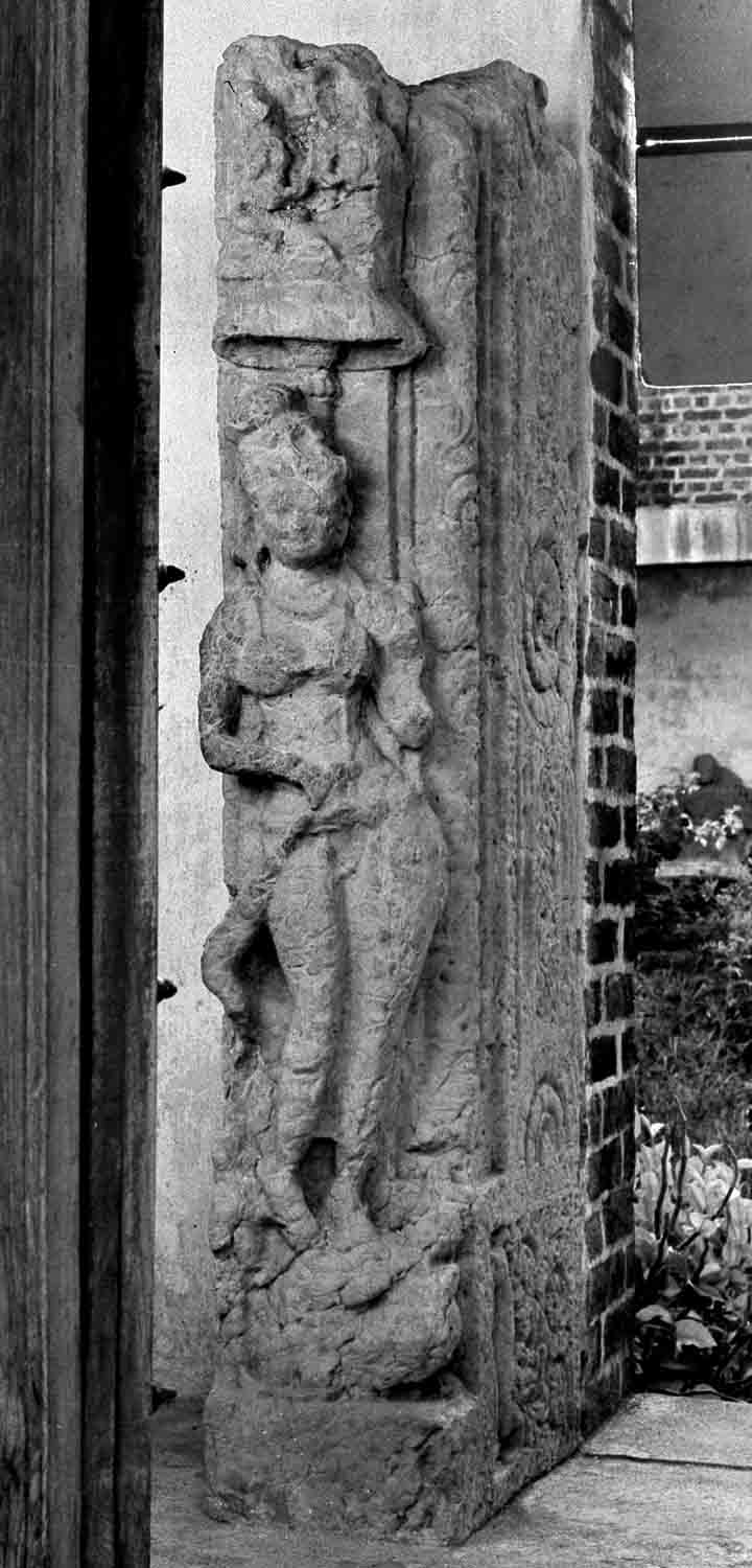 Site Museum,Sirpur, Madhya Pradesh
