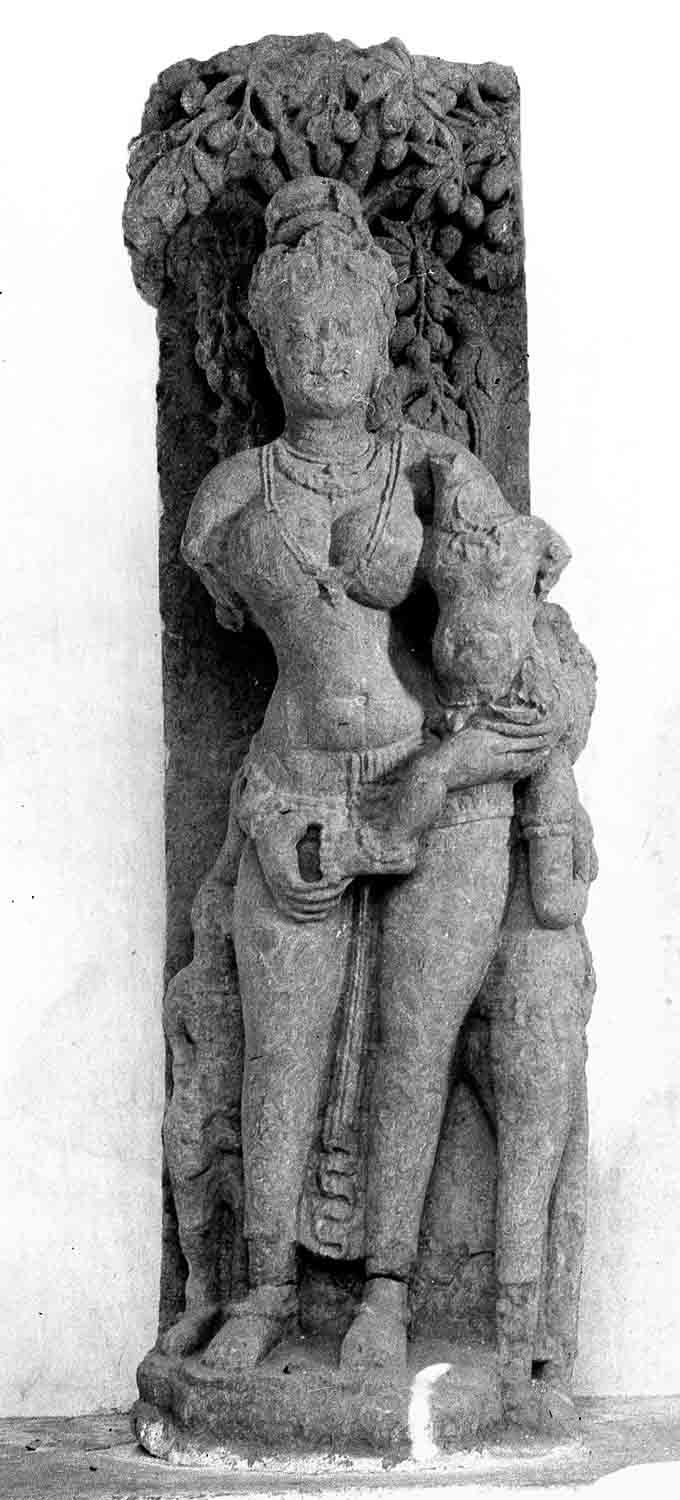 Site Museum,Sirpur, Madhya Pradesh