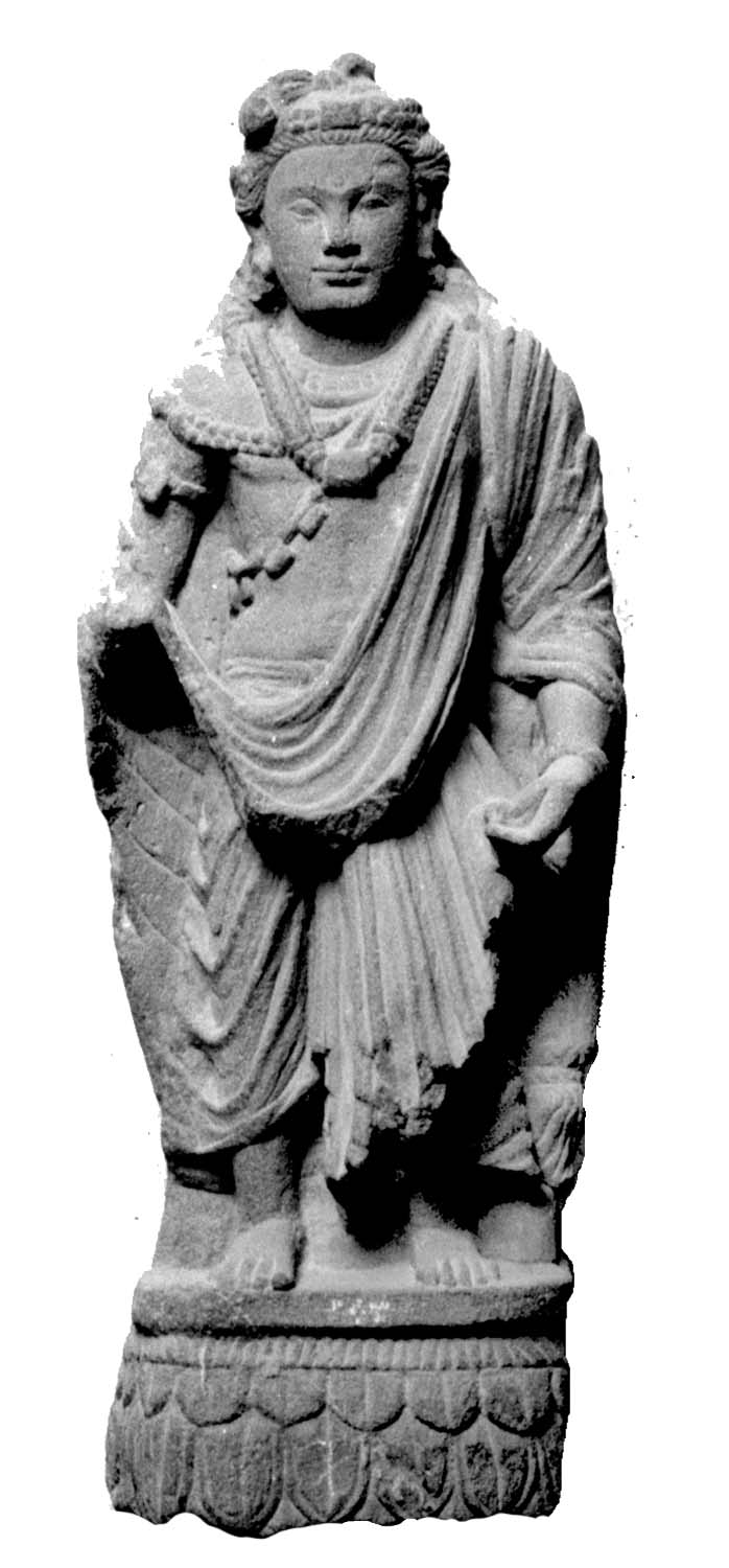 Chandigarh Museum
