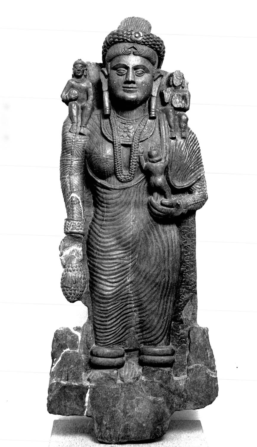 Chandigarh Museum